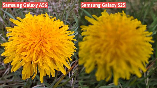 Samsung Galaxy A56